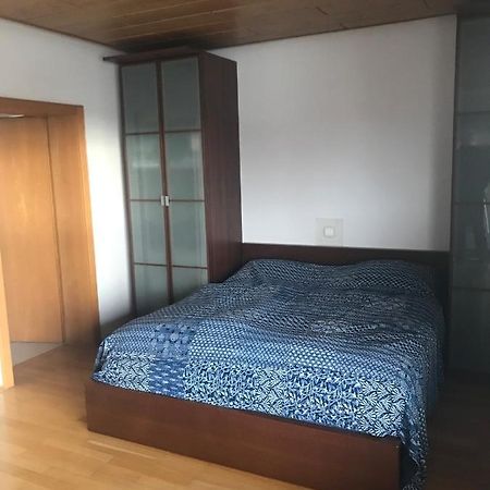 Fuer Pendler Und Monteure Oder Ferienwohnung Zum Erholen Ober-Ramstadt Dış mekan fotoğraf